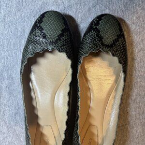 Chloe Green/Black Python Embossed Leather Lauren Scallop Ballet Flats